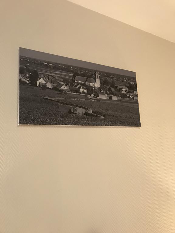 Hotel Bellevue بون المظهر الخارجي الصورة
